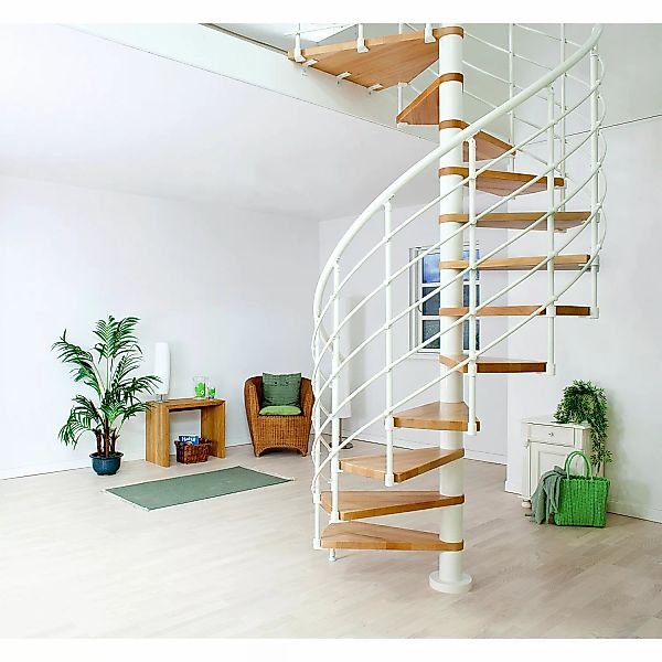 Dolle Spindeltreppe Oslo Ø 160 cm, 11 Stufen Buche GH bis 276 cm FSC® günstig online kaufen