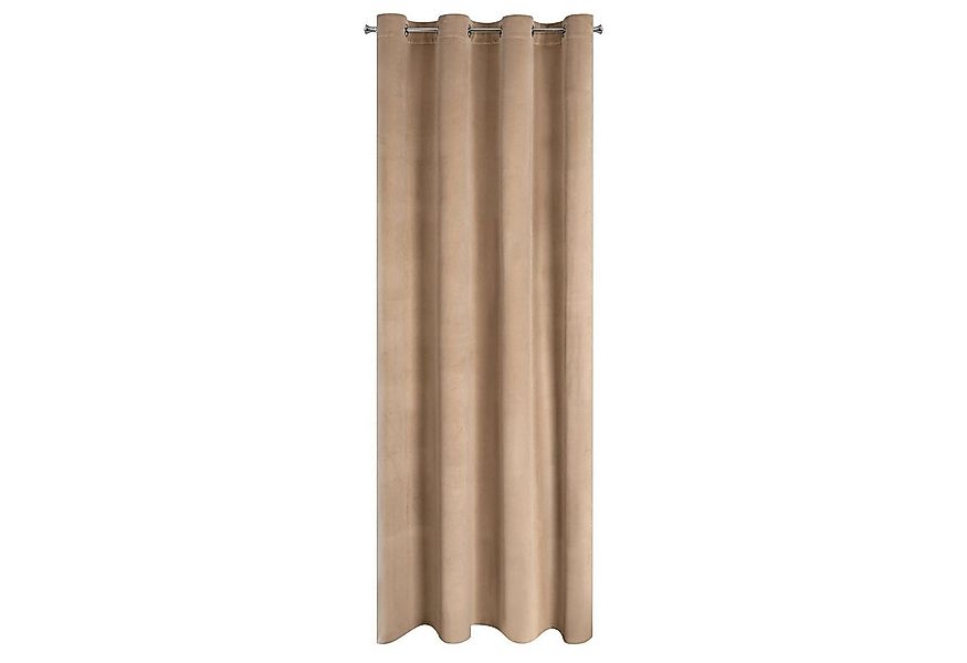Design91 Vorhang Samtvorhänge 140x250 cm (1 St), Ösen, blickdicht, Samt, Wo günstig online kaufen