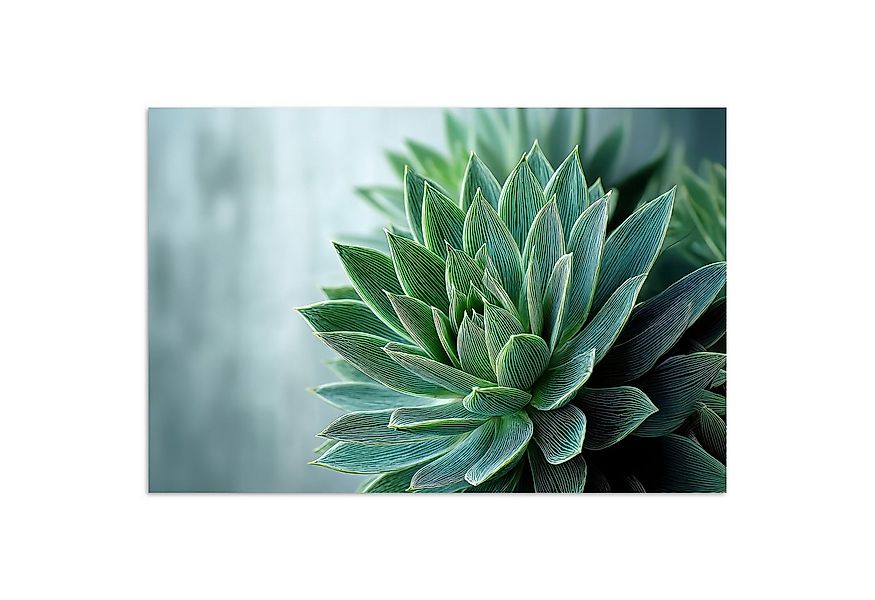 MuchoWow Poster Sukkulente - Blätter - Grün - Unscharf, (1 St), Poster ohne günstig online kaufen