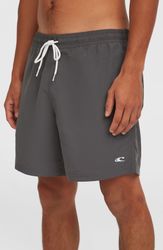 O'Neill Badeshorts O'NEILL VERT 16'' SWIMSHORTS günstig online kaufen
