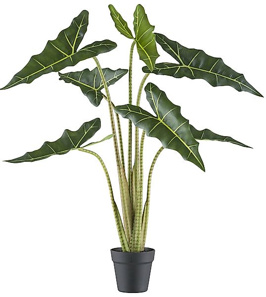 Creativ green Kunstpflanze "Alocasia zebrina sarian", mit gestreiftem Stamm günstig online kaufen