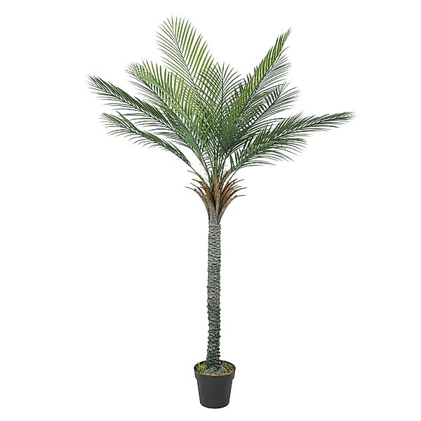 HOMCOM Künstliche Palme 180 cm, tropische Topfpflanze, 15 realistische Blät günstig online kaufen