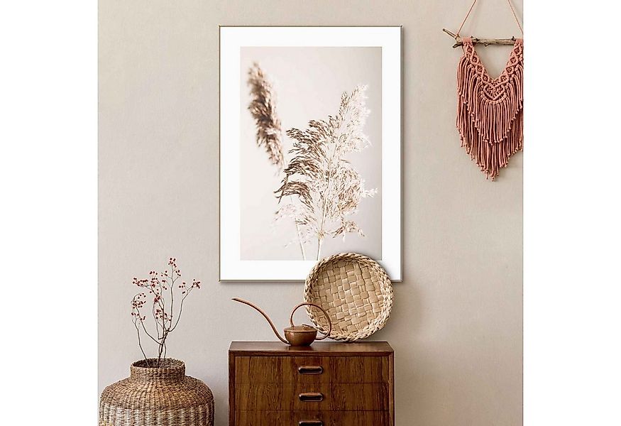 Reinders! Bild Gerahmtes Bild Pampasgras Natur - Pflanze, Pflanzen (1 St) günstig online kaufen