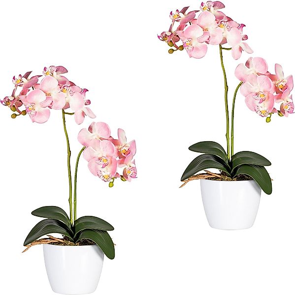 Kunstpflanze Phalaenopsis Orchidee, Creativ green, Höhe günstig online kaufen