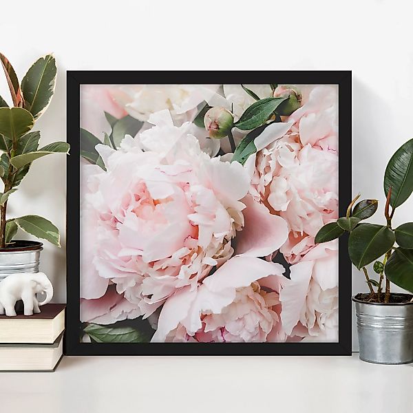 Bild mit Rahmen Blumen - Quadrat Pfingstrosen Hellrosa günstig online kaufen