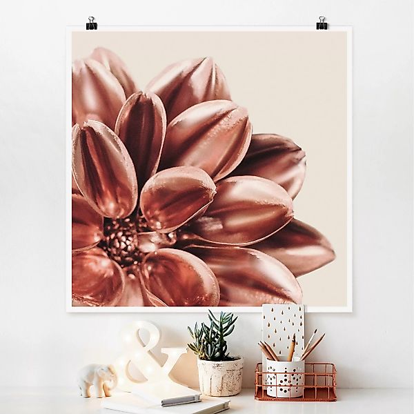 Poster Dahlie Rosegold Rosa Detail günstig online kaufen