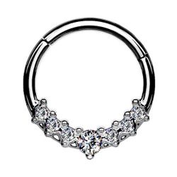 Taffstyle Nasenpiercing Septum Piercing Ring Segmentring günstig online kaufen