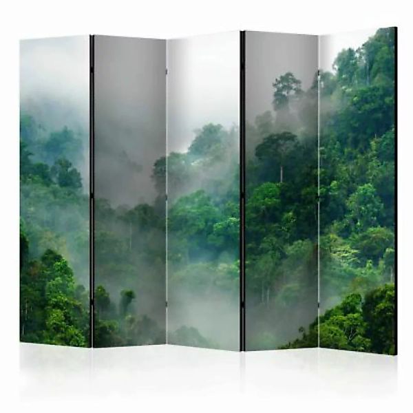 artgeist Paravent Morning Fog II [Room Dividers] mehrfarbig Gr. 225 x 172 günstig online kaufen