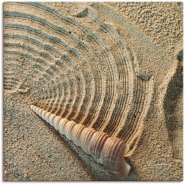 Artland Wandbild "Zen IV - Muschel im Sand", Zen, (1 St.), als Alubild, Out günstig online kaufen