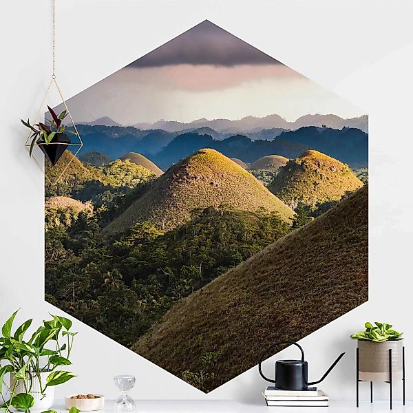 Hexagon Fototapete selbstklebend Schokoladenhügel Landschaft günstig online kaufen