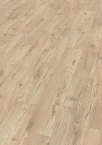 EGGER Laminat EHL181 Limerick Eiche sandbeige, günstig online kaufen