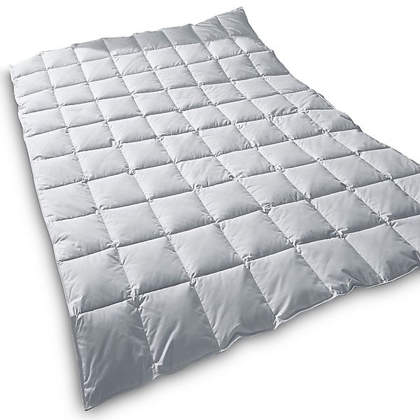TraumDaune Daunenbettdecke Typ EIDER Premium Sommerdecke günstig online kaufen