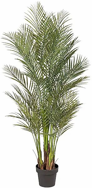 andas Kunstpalme »Marit« günstig online kaufen