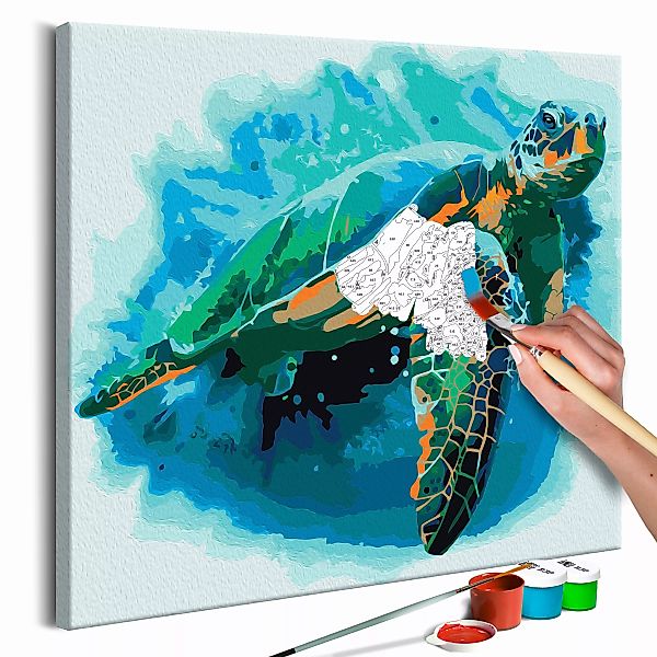 Malen Nach Zahlen - Schildkröte günstig online kaufen
