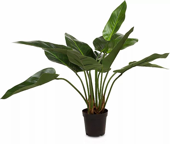 Künstliche Flamingoblume - Anthurium 65 cm günstig online kaufen