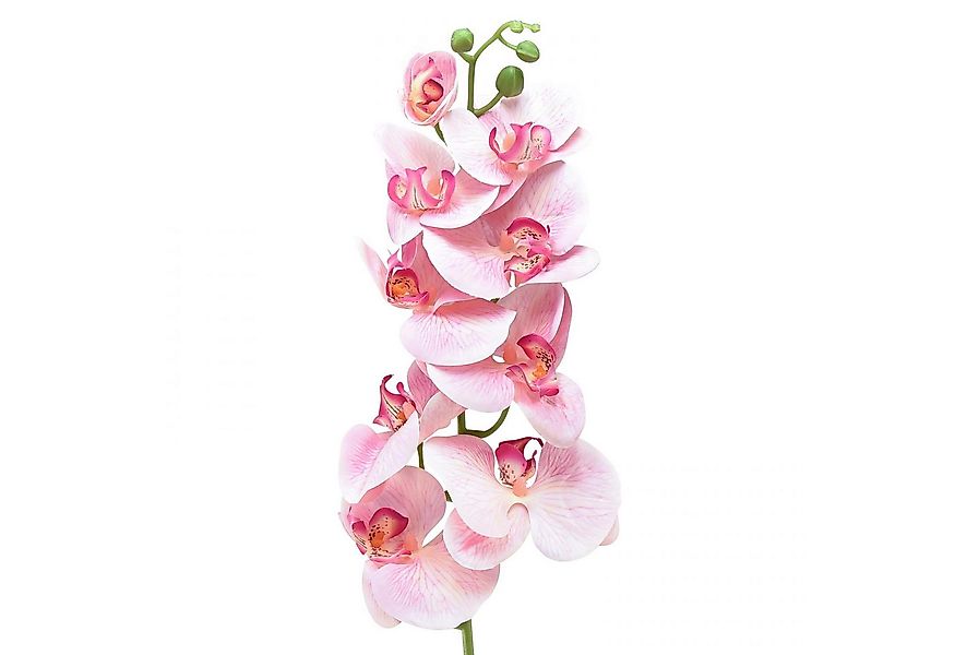 Kunstorchidee Orchidee Phalaenopsis Kunstblume Rosa Weiß 96cm 9 Blüten Deko günstig online kaufen