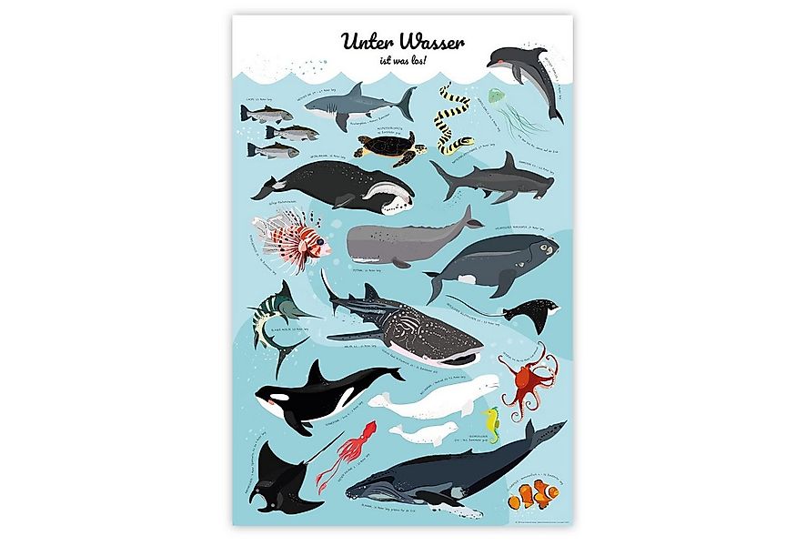 Close Up Poster Meerestiere Poster Unter Wasser ist was los! 61 x 91,5 cm günstig online kaufen