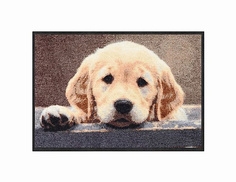 Fußmatte Nosy Dog günstig online kaufen