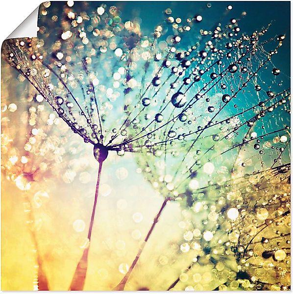 Artland Wandbild Pusteblume Zaubertropfen, Blumen (1 günstig online kaufen