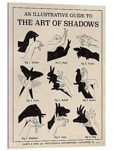 Posterlounge Wandbild Die Kunst der Schattenspiele günstig online kaufen