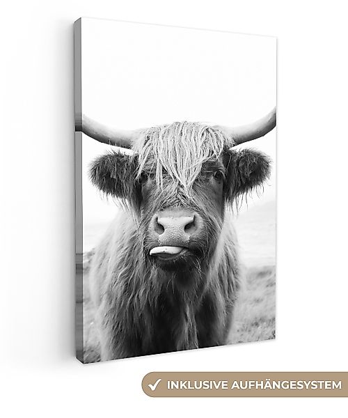 OneMillionCanvasses® Leinwandbild Tiere - Schottischer Highlander günstig online kaufen