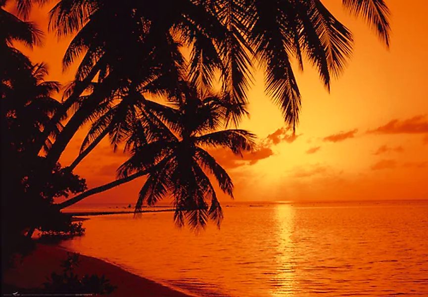 Papermoon Fototapete »Tropic Sunset« glatt günstig online kaufen